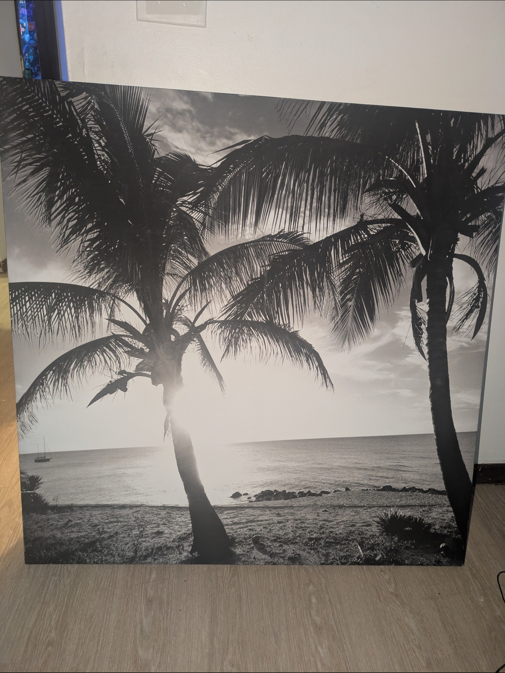 Black & White Tropical Palm Canvas Wall Art